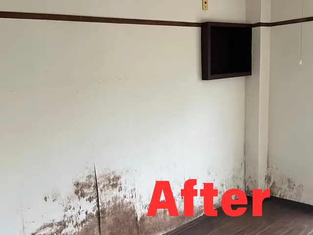 【女性スタッフ同行可】豊富な経験と知識を活かして心を込めて作業いたしますサービスの画像