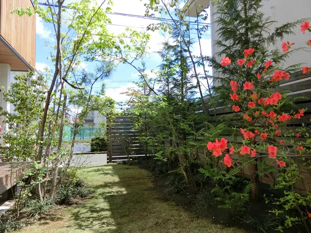 自然風お手入れサービスの画像