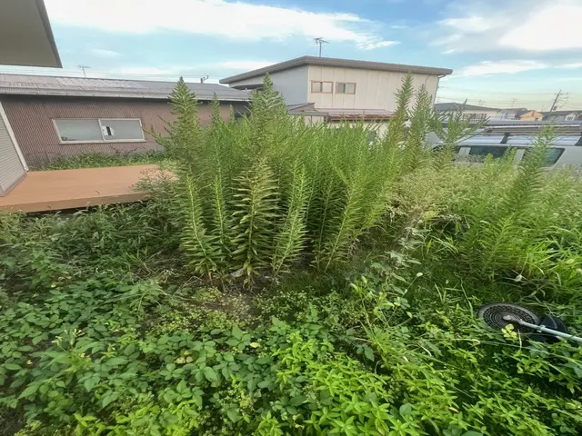 年末までに、お家周り、お庭を綺麗にさせて頂きます。サービスの画像