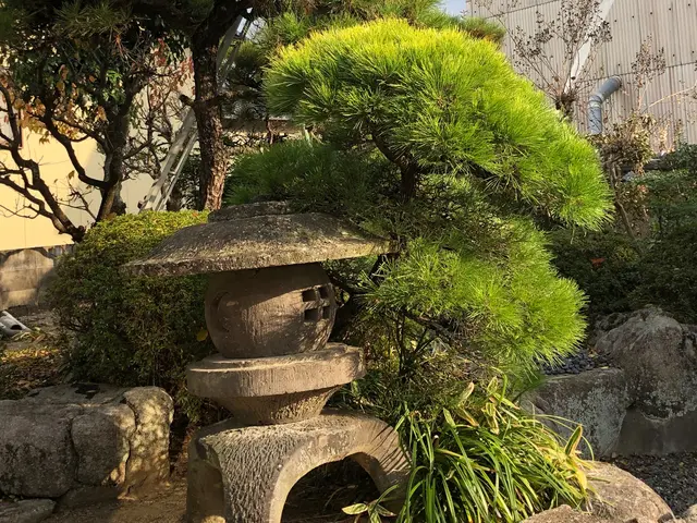 作業実績200件以上、女性スタッフ同行可能なお庭のプロフェッショナル！サービスの画像