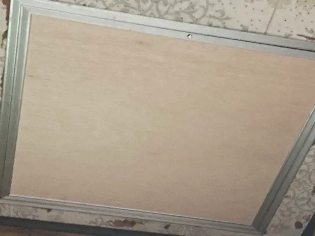 スズメバチ駆除ならお任せください！迅速に対応いたします！サービスの画像