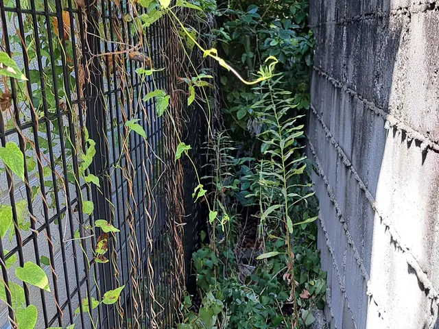 風と緑に命を宿す庭造り！当店は主の大切なお庭を良き心の郷里にと心掛けています。サービスの画像