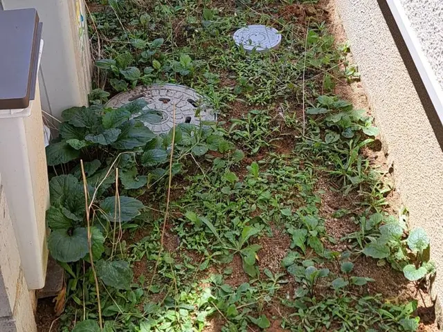 風と緑に命を宿す庭造り！当店は主の大切なお庭を良き心の郷里にと心掛けています。サービスの画像