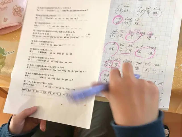 出張中国語サービスの画像