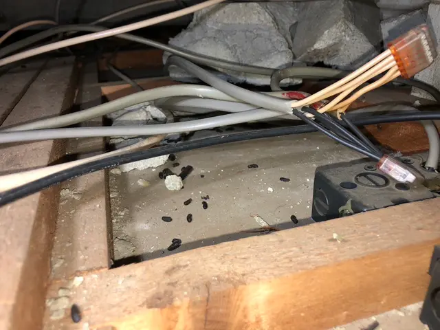 【スピード対応で二次被害を防止！！】サービスの画像