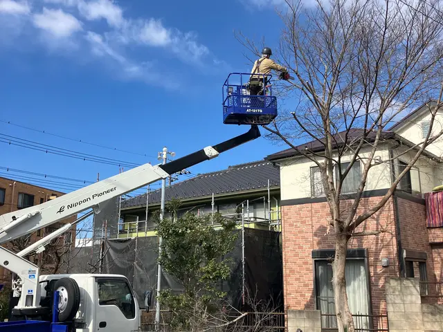 1本から大量・特殊伐採もお任せくださいサービスの画像