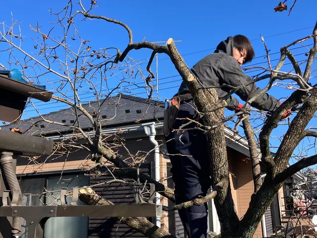 1本から大量・特殊伐採もお任せくださいサービスの画像