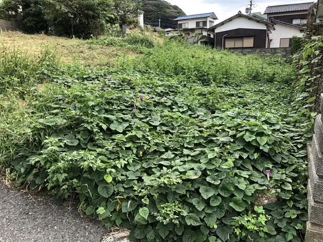 女性スタッフも活躍中！作業外注一切なし◎責任を持って作業します。サービスの画像