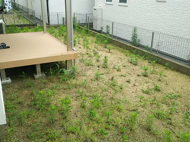 荒れてしまった敷地を綺麗にします！その後の砂利敷きや人工芝もお任せください！サービスの画像