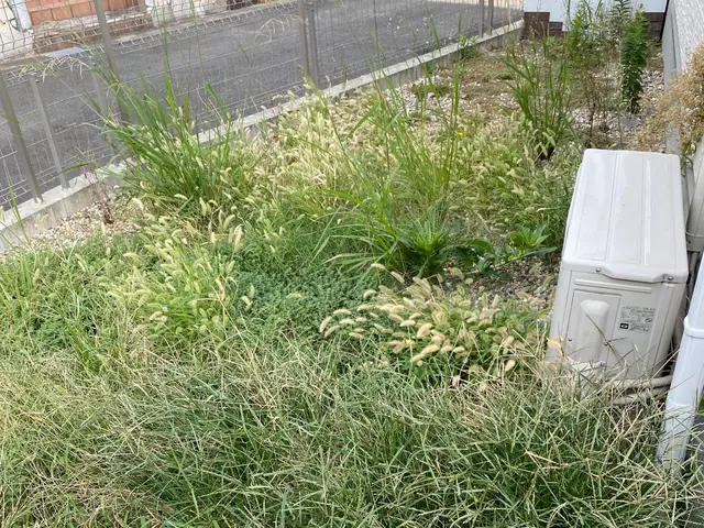 荒れてしまった敷地を綺麗にします！その後の砂利敷きや人工芝もお任せください！サービスの画像