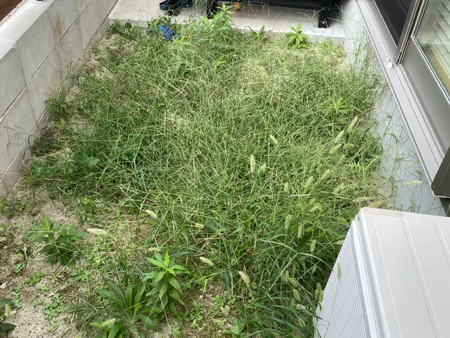 荒れてしまった敷地を綺麗にします！その後の砂利敷きや人工芝もお任せください！サービスの画像