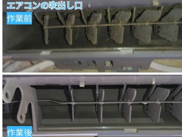 お子様、ペット安心の植物由来成分洗剤使用★水漏等不具合点検可★電気工事士資格保有サービスの画像