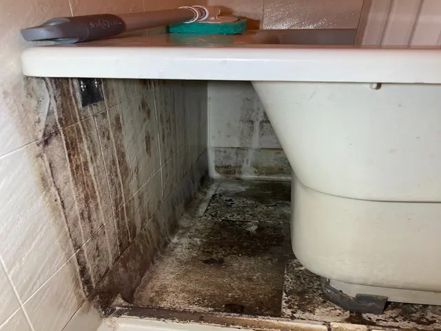 【頼んで良かった】この言葉を聞きたく自身も納得いくまで作業します。ご安心下さい。サービスの画像