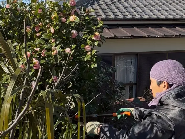 ★伐採抜根お任せ下さい★重機の入れない高所、狭い通路などご相談可能です！！サービスの画像
