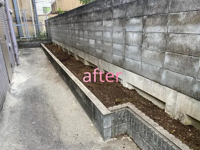 庭木の地際での伐採、抜根までサービスの画像