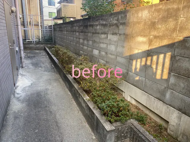 庭木の地際での伐採、抜根までサービスの画像