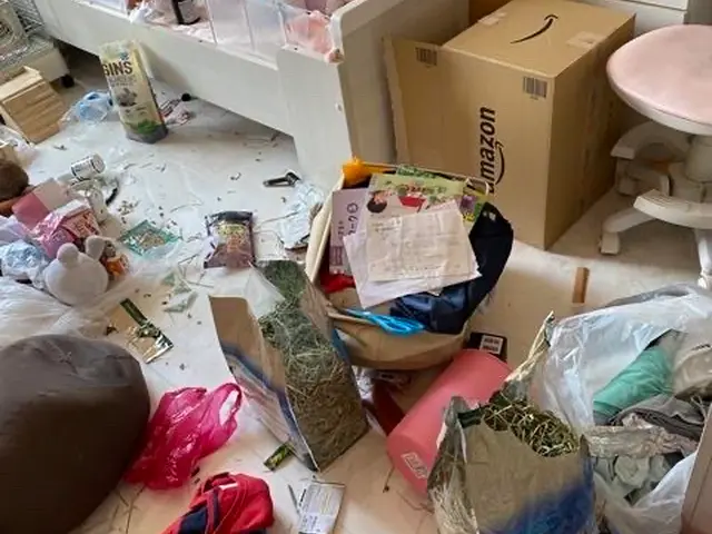 整理収納専門家の『使い分け収納術』※初めての方は詳細等をお電話させていただきますサービスの画像