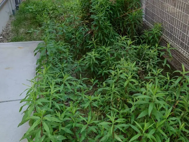 【業歴14年の経験と実績】営業時間外も対応OK・アフターフォローもばっちりサービスの画像