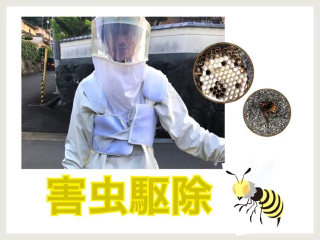 蜂の巣駆除なら当社にお任せください！サービスの画像