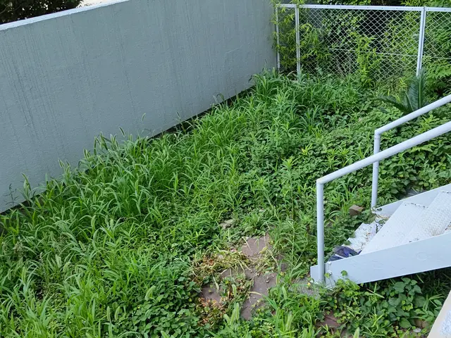 【植木屋歴10年】庭園管理士、造園技能士資格保有！すべて自社対応！サービスの画像