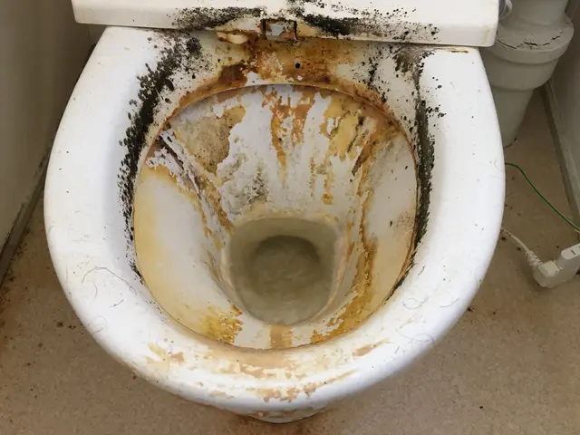 【損害保険加入済み◎】丁寧に作業いたします！法人だから安心です♪サービスの画像