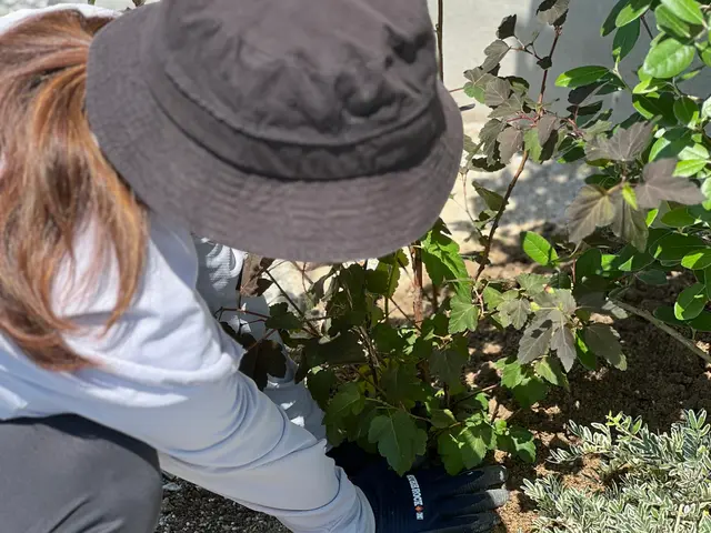 【夫婦で営む植物屋さんが訪問◎】安心・丁寧な作業で庭をリフレッシュサービスの画像