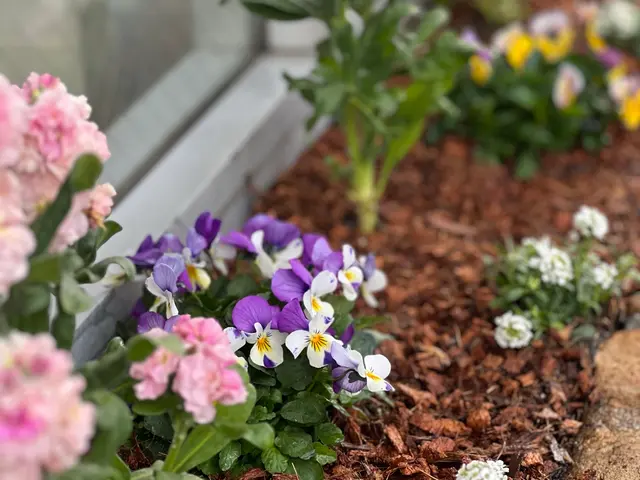 【夫婦で営む植物屋さんが訪問◎】安心・丁寧な作業で庭をリフレッシュサービスの画像