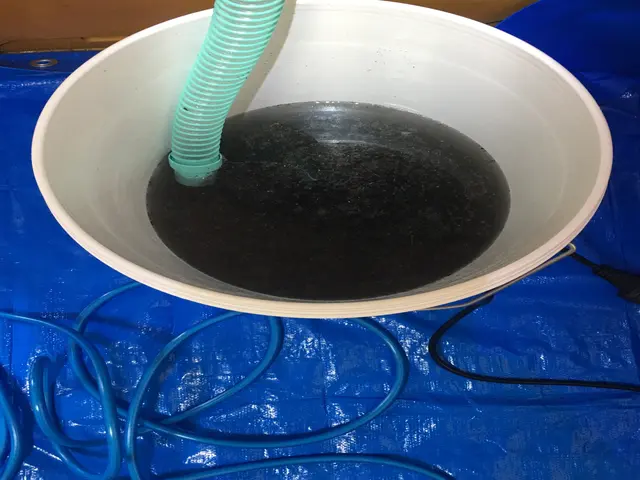 複数台のお申し込みで割引となります。サービスの画像