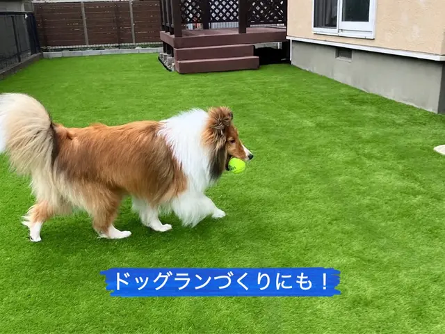 【メンテナンス不要】草にまけないお庭を手にして家族やペットと楽しむ人工芝ライフサービスの画像