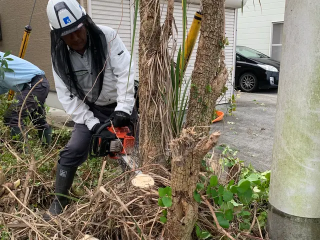 プロの技術でご満足いただけるように心を込めて作業いたしますサービスの画像