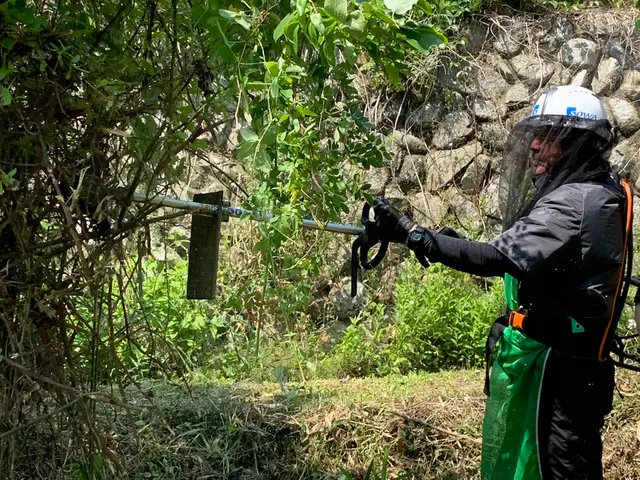 プロの技術でご満足いただけるように心を込めて作業いたしますサービスの画像