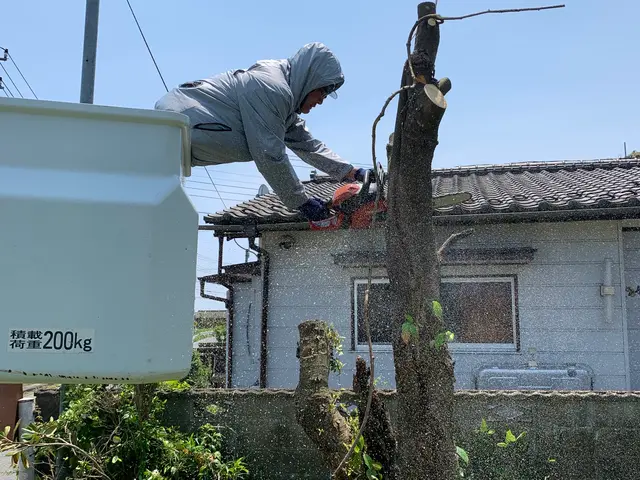 プロの技術でご満足いただけるように心を込めて作業いたしますサービスの画像