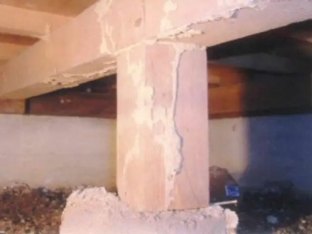 ★シロアリ駆除年間作業数300件以上★5年保証★お子さま・ペットに優しい薬剤★サービスの画像