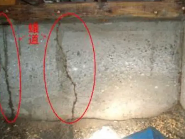 ★シロアリ駆除年間作業数300件以上★5年保証★お子さま・ペットに優しい薬剤★サービスの画像