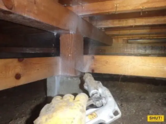 ★シロアリ駆除年間作業数300件以上★5年保証★お子さま・ペットに優しい薬剤★サービスの画像