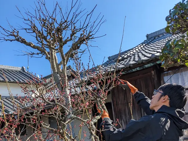 伸び放題の庭木はありませんか？　シマトネリコや梅など様々な庭木に対応しています。サービスの画像