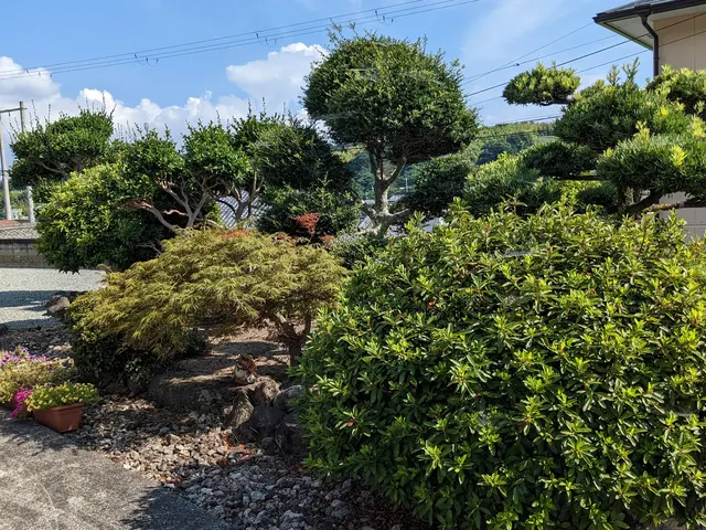 伸び放題の庭木はありませんか？　シマトネリコや梅など様々な庭木に対応しています。サービスの画像