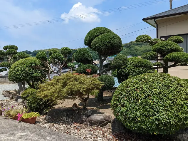 伸び放題の庭木はありませんか？　シマトネリコや梅など様々な庭木に対応しています。サービスの画像