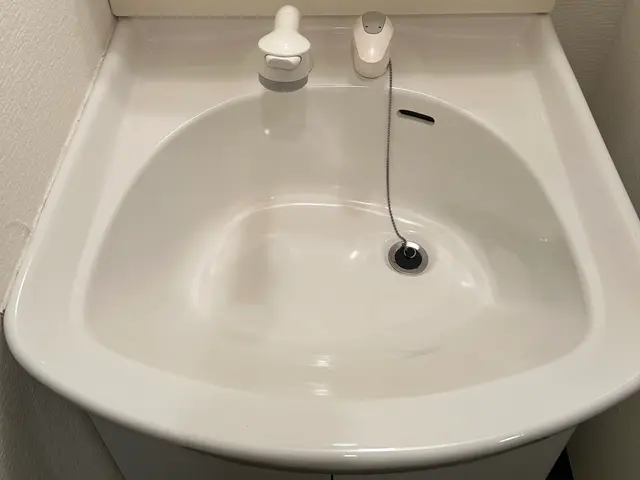 年末に落としきれなかった水アカ・皮脂汚れをしっかりリセット。3月限定価格！サービスの画像