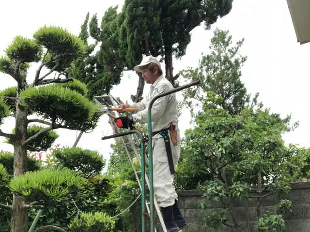 お気軽にご相談くださいサービスの画像