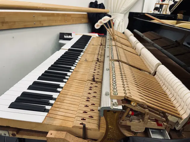 国家資格保有 業界6年目 個人様から施設様まで丁寧に作業させていただきますサービスの画像