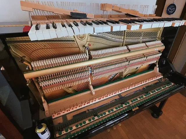 国家資格保有 業界6年目 個人様から施設様まで丁寧に作業させていただきますサービスの画像