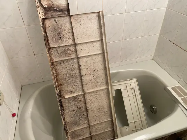 浴室を隅々までしっかりと洗います！専用の強力洗剤でカビを徹底除去！エプロン内込みサービスの画像