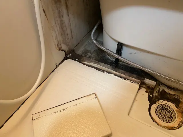 浴室を隅々までしっかりと洗います！専用の強力洗剤でカビを徹底除去！エプロン内込みサービスの画像