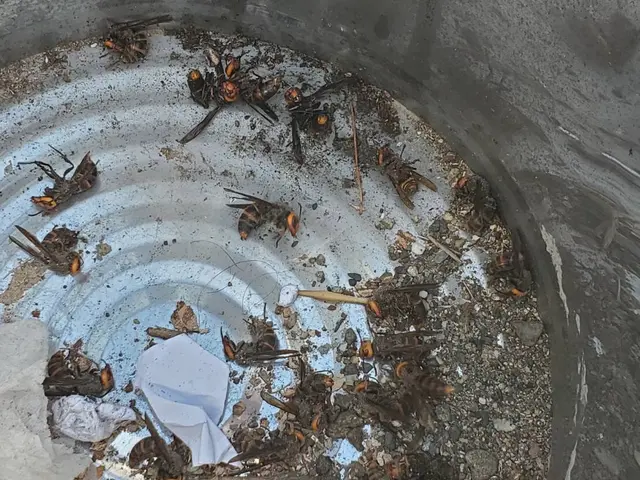 ◆営業時間外も対応します◆ハチ駆除は是非うちにお任せください！サービスの画像