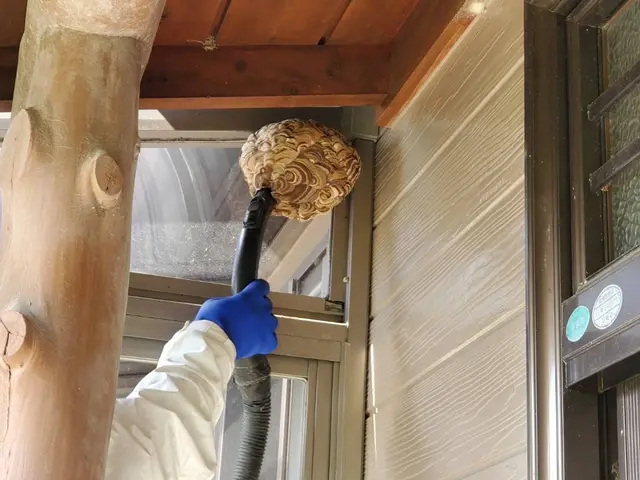 ◆営業時間外も対応します◆ハチ駆除は是非うちにお任せください！サービスの画像