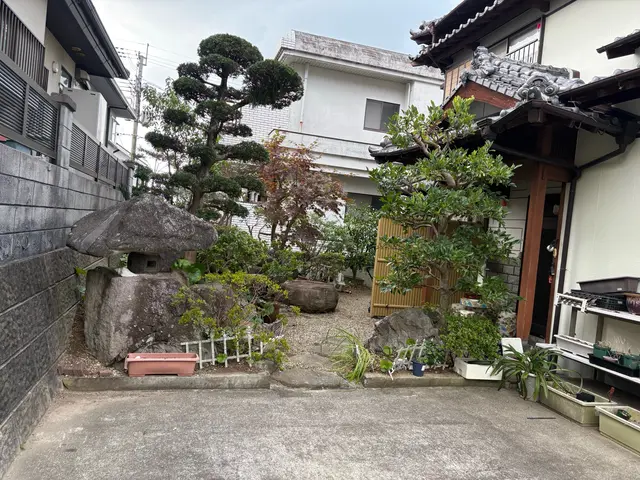 長崎駅リニューアル実績！自然樹形を活かした自社スタッフ直接対応の専門技術サービスの画像