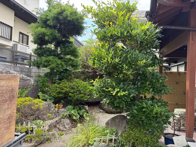 長崎駅リニューアル実績！自然樹形を活かした自社スタッフ直接対応の専門技術サービスの画像