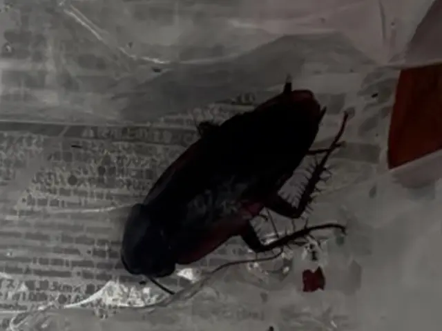 （10/29.30対応可能）すぐに返答します。まずはお気軽にご相談を！サービスの画像