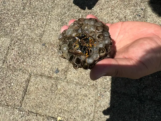 【業歴50年の実績】あなたの「困った」を当社スタッフが全力で解決します！サービスの画像